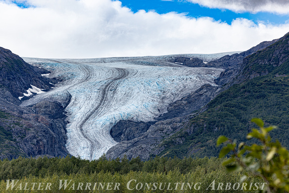 Exit Glacier