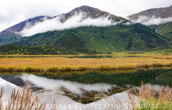 on the road to Seward_2