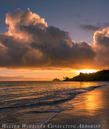 Kailua Beach_12-31-22