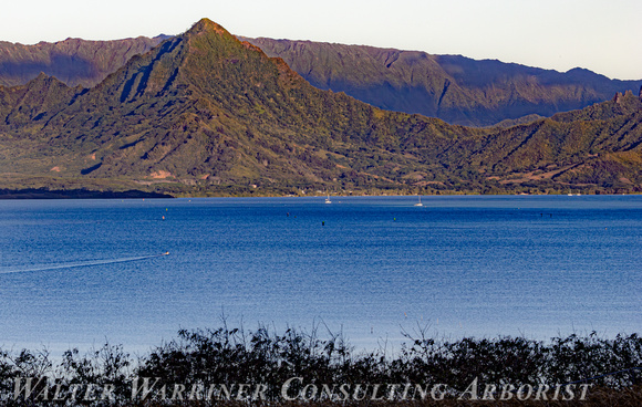 Kaneohe Bay