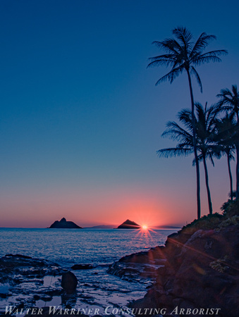 cool Kailua morning