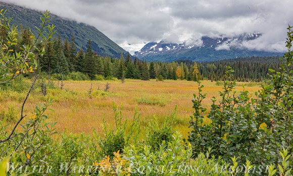 on the road to Seward_3